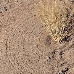 The most gorgeous patterns made by the wind