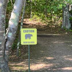 Yeah, NO! I think I better keep my bear spray with me.