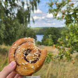 Tägliche Ration Zimtschnecke 😋