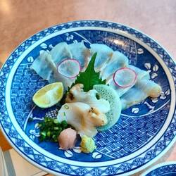 Sashimi
