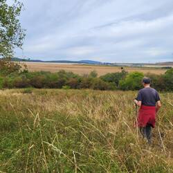 Weites Land.