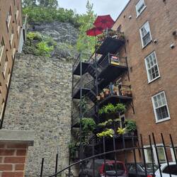 I loved how the fire escapes were turned into living spaces.