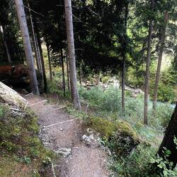Climbing up from the river