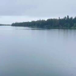 Pellier Island