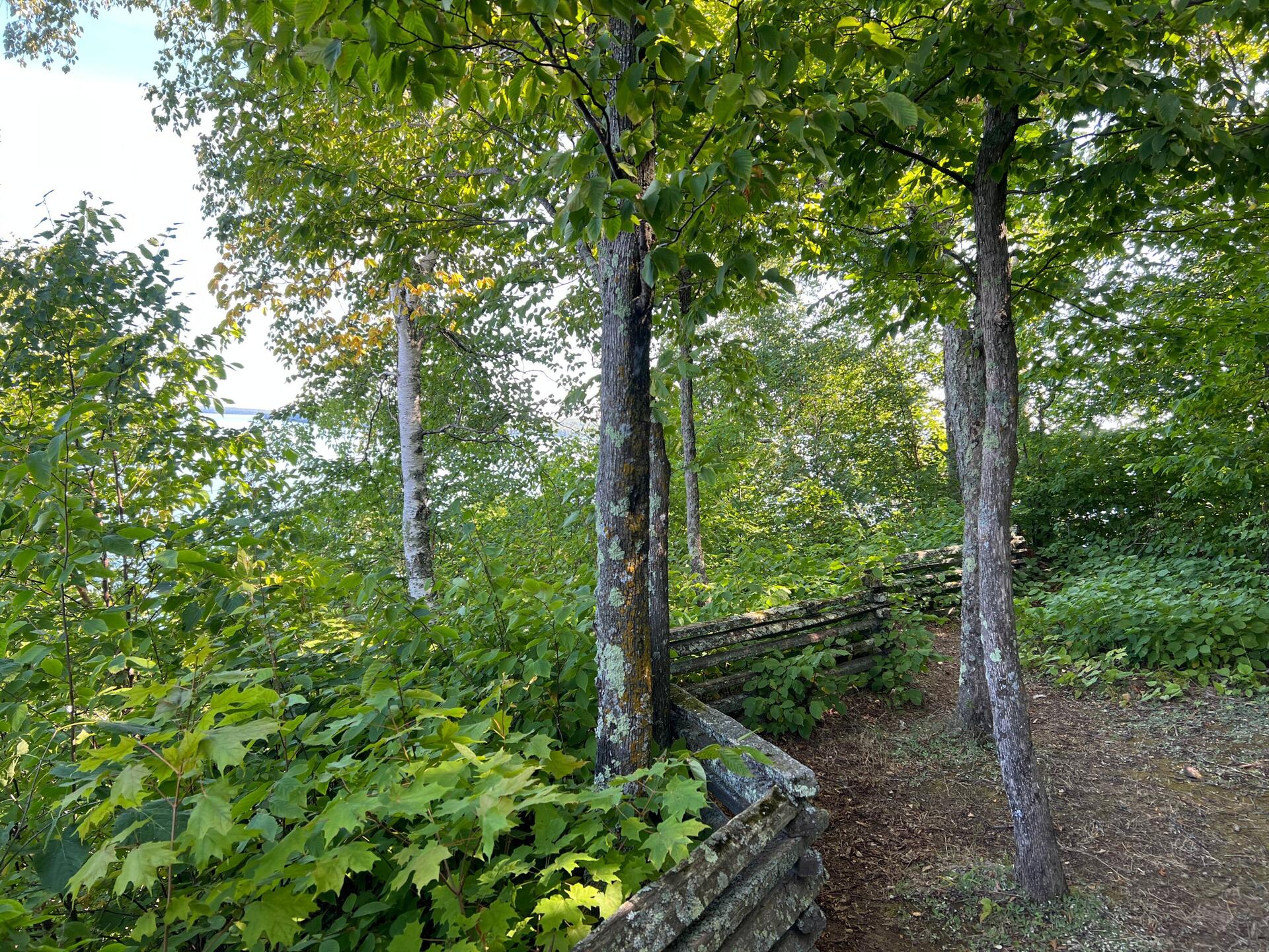 First overlook on Oak Island