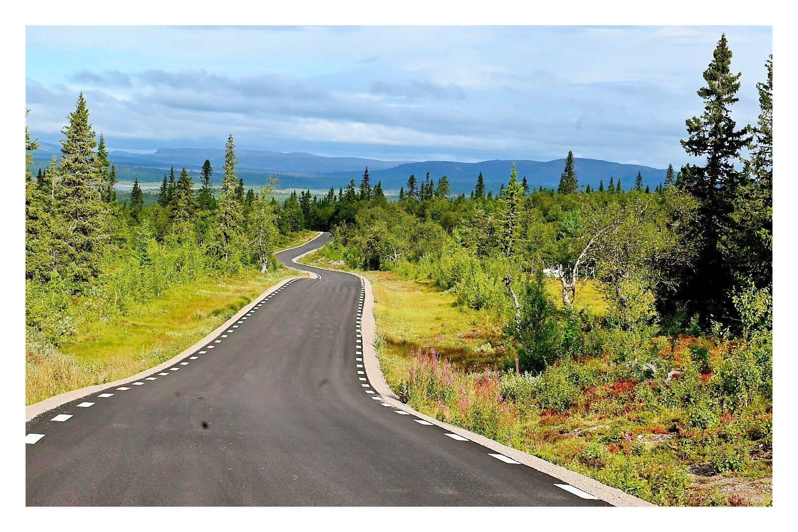 Direkt an der Grenze Dalarna u. Härjedahlen hatte ich übernachtet. Der Blick zurück....