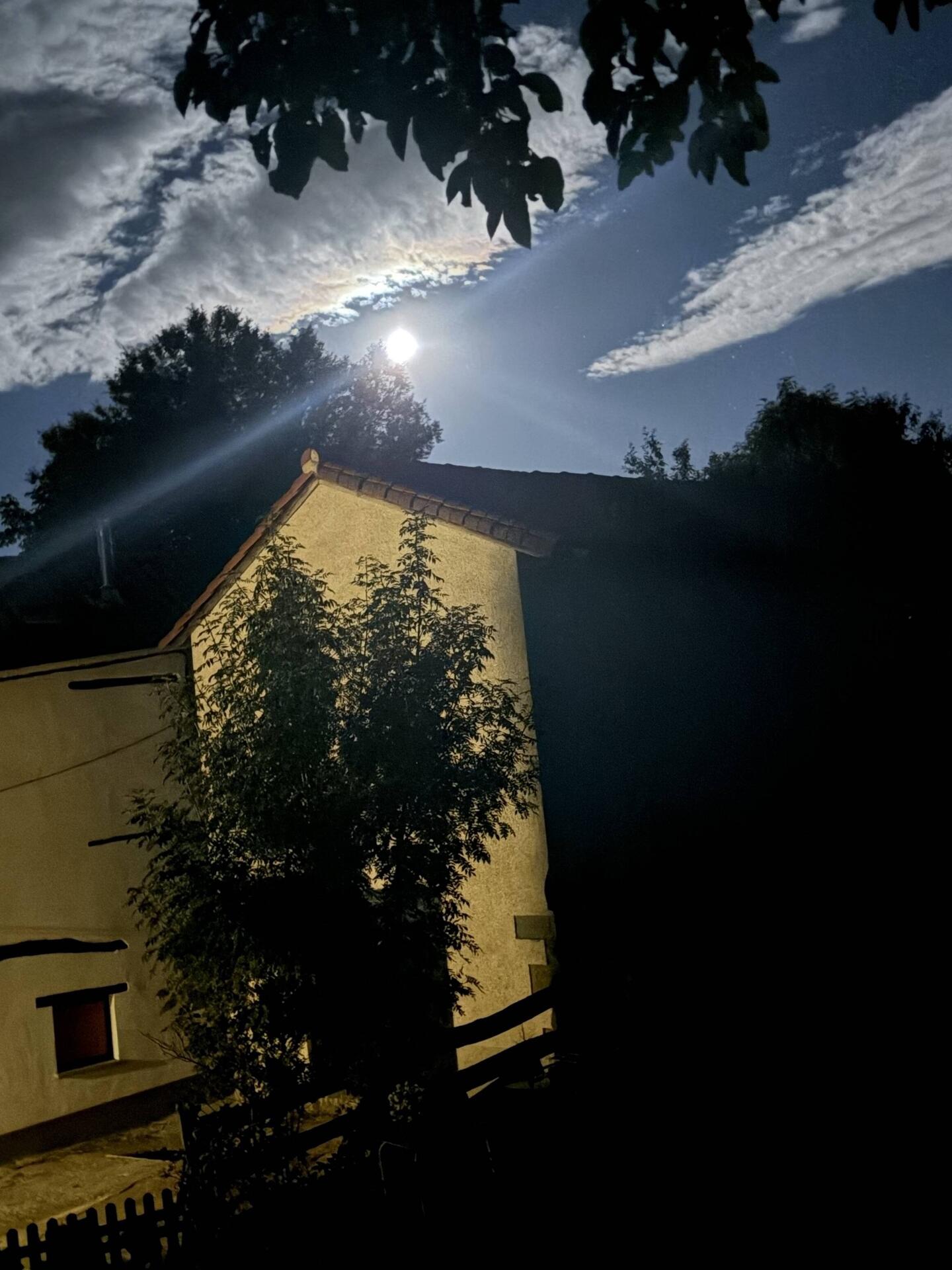The moon was still up when I woke up