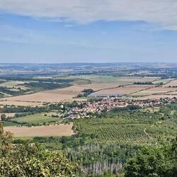 Toller Weitblick