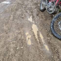 Schodder und hier Modder