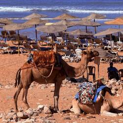 Strand von Sidi Kaouki 🏄‍♀️
