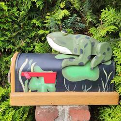 Der Frosch wartet auf Neuigkeiten.