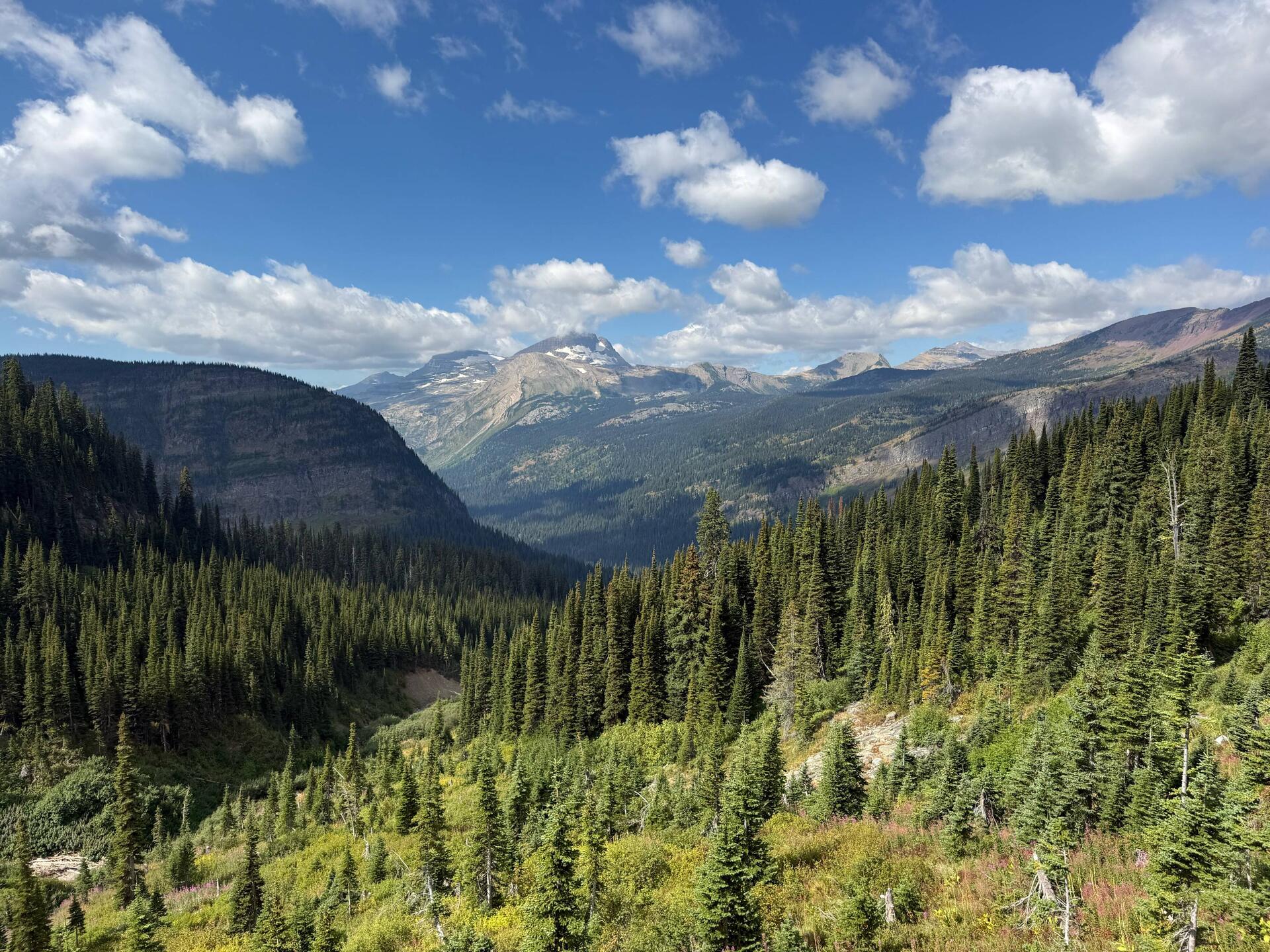 im Glacier-Nationalpark