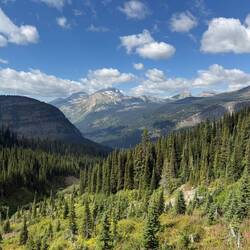 im Glacier-Nationalpark