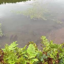 Lagoa do Canário
