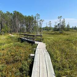 Tombolo trail cuts across this lagoon or swampy area.