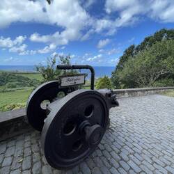 Chá Porto Formoso