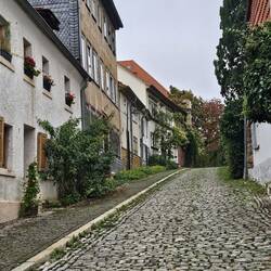 Uriger Altbestand
