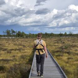 Abendwanderung im Store-Mosse-Nationalpark
