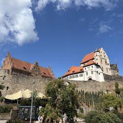 Burg in Alzenau
