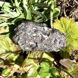 Mystery object