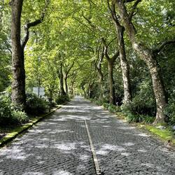 Lagoa dos Furnas