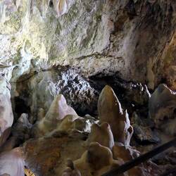 Bärenhöhle