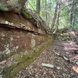More of the Brown Stone Quarry.