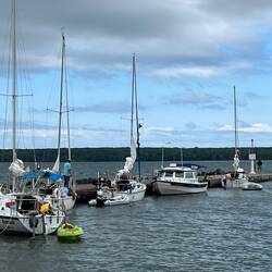 C-Traveler surrounded by sail boats.