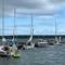 C-Traveler surrounded by sail boats.