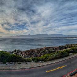 Watching the whales