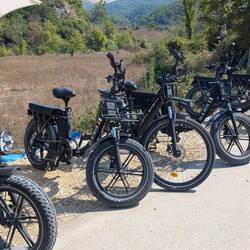 Rental pedelecs