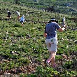 Hike from Franschhoek Pass to Uitkyk