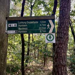 NST Schild, das einzige das mir zumindest aufgefallen ist.
