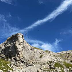 So viele Alpendolen...