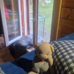 Guten Morgen aus dem Matratzenlager