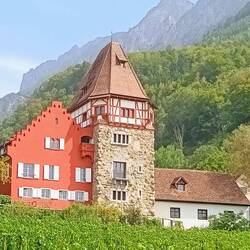 Das Rote Haus