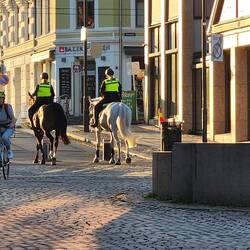 Police on horses