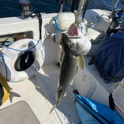 26" Lake Trout. By myself, and no selfies with me and the fish.)