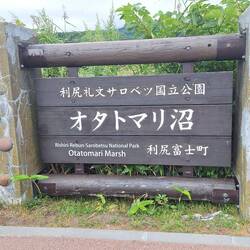 Otatomari Sumpf