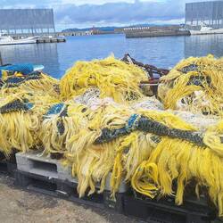 Fischernetze im Hafen