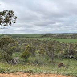 View from Mingenew Town Lookout