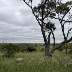 View from lookout Coorow Community Farm