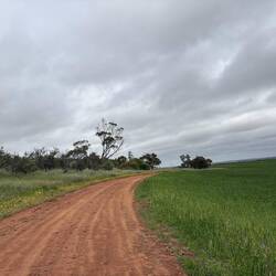 Coorow Community Farm