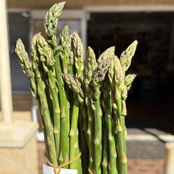 Asparagus from The Local Larder Bindoon