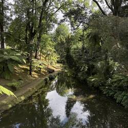 Botanischer Garten Terra Nostra