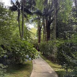 Botanischer Garten Terra Nostra