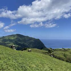 Miradouro do Pico dos Bodes