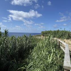 Weg zum Leutturm Farolim dos Fenais da Ajuda