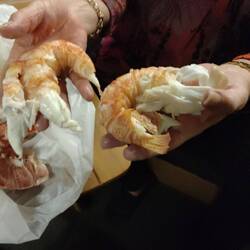 Just the tail...yum