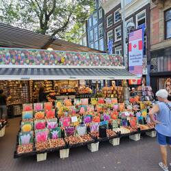 am Blumenmarkt